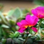 Beauty lurks all around us