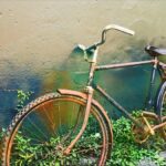 Rusty bike in Parys