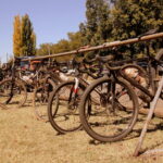 After a bike race at Val Hotel in Mpumalanga