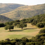 A calming view at Sun City