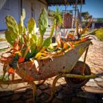 A gardening idea