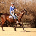 Horsing around in Kyalami